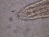  ( - 34C20A12)  @11 [ ] by_nc_nd (2012) Unspecified Ghent University