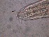  ( - 34C20A12)  @11 [ ] by_nc_nd (2012) Unspecified Ghent University