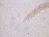  ( - 36H6K12)  @11 [ ] by_nc_nd (2012) Unspecified Ghent University