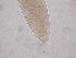  ( - 36H6K12)  @11 [ ] by_nc_nd (2012) Unspecified Ghent University