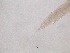  ( - 36H6K12)  @11 [ ] by_nc_nd (2012) Unspecified Ghent University