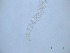  ( - 3X6K14)  @11 [ ] by_nc_nd (2014) Unspecified Ghent University