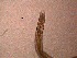  ( - 4X26A12)  @11 [ ] by_nc_nd (2012) Unspecified Ghent University