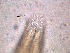  ( - 4X26A12)  @11 [ ] by_nc_nd (2012) Unspecified Ghent University