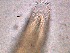  ( - 4X26A12)  @11 [ ] by_nc_nd (2012) Unspecified Ghent University