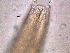  ( - 4X26A12)  @11 [ ] by_nc_nd (2012) Unspecified Ghent University