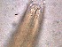  ( - 4X26A12)  @11 [ ] by_nc_nd (2012) Unspecified Ghent University