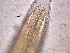  ( - 4X26A12)  @11 [ ] by_nc_nd (2012) Unspecified Ghent University