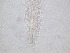  ( - 62H6K12)  @11 [ ] by_nc_nd (2012) Unspecified Ghent University