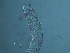  ( - 64X24B15)  @11 [ ] by_nc_nd (2015) Unspecified Ghent University