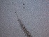  ( - 6C9B12)  @11 [ ] by_nc_nd (2012) Unspecified Ghent University