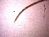  ( - 6X24A12)  @11 [ ] by_nc_nd (2012) Unspecified Ghent University