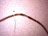 ( - 6X24A12)  @11 [ ] by_nc_nd (2012) Unspecified Ghent University