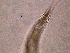  ( - 6X26A12)  @11 [ ] by_nc_nd (2012) Unspecified Ghent University