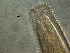  ( - 7C09M12)  @11 [ ] by_nc_nd (2012) Unspecified Ghent University