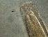  ( - 7C09M12)  @11 [ ] by_nc_nd (2012) Unspecified Ghent University
