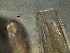  ( - 7C09M12)  @11 [ ] by_nc_nd (2012) Unspecified Ghent University