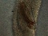  ( - 7C09M12)  @11 [ ] by_nc_nd (2012) Unspecified Ghent University