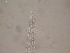  ( - 8L2E16)  @11 [ ] by_nc_nd (2016) Unspecified Ghent University