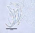  ( - 120614-1-1-2-1)  @11 [ ] CreativeCommons - Attribution Non-Commercial Share-Alike (2017) Unspecified Norwegian Veterinary Institute