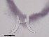  ( - 120614-1-15)  @11 [ ] CreativeCommons - Attribution Non-Commercial Share-Alike (2017) Unspecified Norwegian Veterinary Institute
