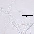  ( - 120614-1-22)  @11 [ ] CreativeCommons - Attribution Non-Commercial Share-Alike (2017) Unspecified Norwegian Veterinary Institute
