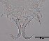  ( - 120614-1-28)  @11 [ ] CreativeCommons - Attribution Non-Commercial Share-Alike (2017) Unspecified Norwegian Veterinary Institute