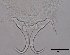  ( - 120614-1-28)  @11 [ ] CreativeCommons - Attribution Non-Commercial Share-Alike (2017) Unspecified Norwegian Veterinary Institute