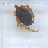  ( - NMNH-2023-019-A04)  @11 [ ] No Rights Reserved (2023) Yvonne Linton Smithsonian Institution National Museum of Natural History