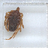  ( - NMNH-2023-019-A04)  @11 [ ] No Rights Reserved (2023) Yvonne Linton Smithsonian Institution National Museum of Natural History