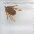  ( - NMNH-2023-019-A05)  @11 [ ] No Rights Reserved (2023) Yvonne Linton Smithsonian Institution National Museum of Natural History