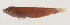  ( - MOOP-029)  @11 [ ] CreativeCommons  Attribution Non-Commercial (by-nc) (2008) Unspecified Smithsonian Institution National Museum of Natural History