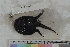  ( - MOP110126)  @11 [ ] CreativeCommons - Attribution Non-Commercial (2011) Smithsonian Institution Smithsonian Institution