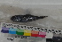  ( - MOP110134)  @11 [ ] CreativeCommons - Attribution Non-Commercial (2011) Smithsonian Institution Smithsonian Institution