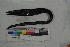  (Xenomystax atrarius - MOP110244)  @11 [ ] CreativeCommons - Attribution Non-Commercial (2011) Smithsonian Institution Smithsonian Institution