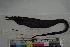  ( - MOP110262)  @11 [ ] CreativeCommons - Attribution Non-Commercial (2011) Smithsonian Institution Smithsonian Institution