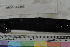  ( - MOP110366)  @11 [ ] CreativeCommons - Attribution Non-Commercial (2011) Smithsonian Institution Smithsonian Institution