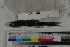  ( - MOP110428)  @11 [ ] CreativeCommons - Attribution Non-Commercial (2011) Smithsonian Institution Smithsonian Institution