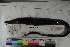  ( - MOP110567)  @11 [ ] CreativeCommons - Attribution Non-Commercial (2011) Smithsonian Institution Smithsonian Institution