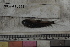  ( - MOP110641)  @11 [ ] CreativeCommons - Attribution Non-Commercial (2011) Smithsonian Institution Smithsonian Institution