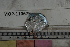 ( - MOP110679)  @11 [ ] CreativeCommons - Attribution Non-Commercial (2011) Smithsonian Institution Smithsonian Institution