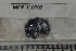  ( - MOP110702)  @11 [ ] CreativeCommons - Attribution Non-Commercial (2011) Smithsonian Institution Smithsonian Institution