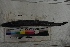  ( - MOP110718)  @11 [ ] CreativeCommons - Attribution Non-Commercial (2011) Smithsonian Institution Smithsonian Institution