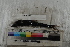  ( - MOP110764)  @11 [ ] CreativeCommons - Attribution Non-Commercial (2011) Smithsonian Institution Smithsonian Institution
