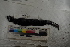  ( - MOP110769)  @11 [ ] CreativeCommons - Attribution Non-Commercial (2011) Smithsonian Institution Smithsonian Institution
