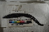  ( - MOP110818)  @11 [ ] CreativeCommons - Attribution Non-Commercial (2011) Smithsonian Institution Smithsonian Institution