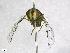  ( - BSK_Zs_11)  @11 [ ] Unspecified (default): All Rights Reserved  Unspecified Unspecified