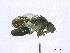  ( - EMY_Rr_20)  @11 [ ] Unspecified (default): All Rights Reserved  Unspecified Unspecified