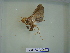  ( - LEP-RCA-0637)  @12 [ ] CreativeCommons - Attribution Non-Commercial Share-Alike (2012) J.LORET ECODIV