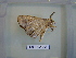  ( - LEP-RCA-0651)  @12 [ ] CreativeCommons - Attribution Non-Commercial Share-Alike (2012) J.LORET ECODIV
